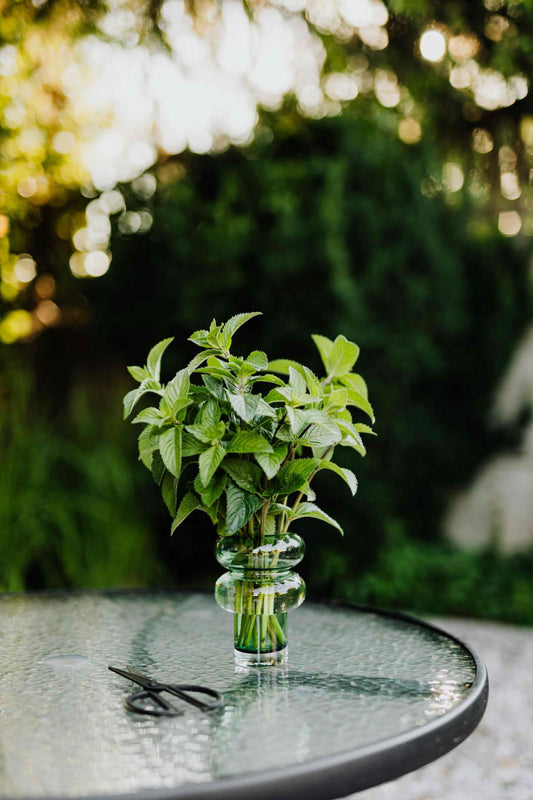 Organic Spearmint Tea leaves 