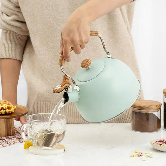 best stainless steel tea kettle pot